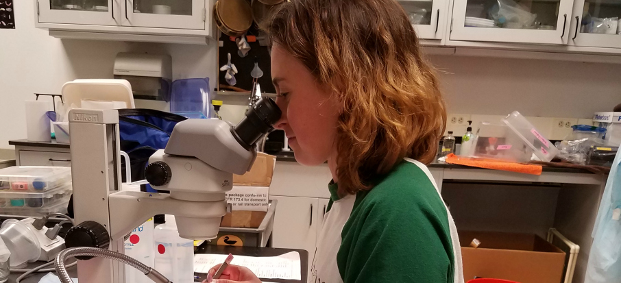 Weldin Identifying samples in Berke's lab