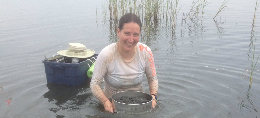 Dorgan sieving a sample