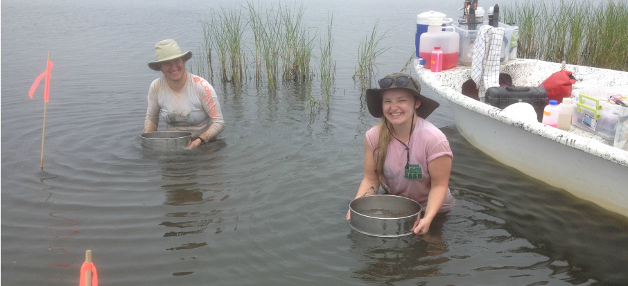 Dorgan and Budai sieving