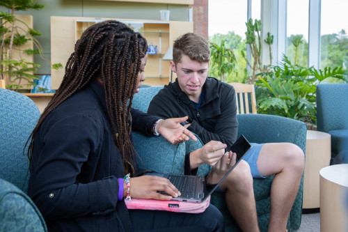 students studying on computer